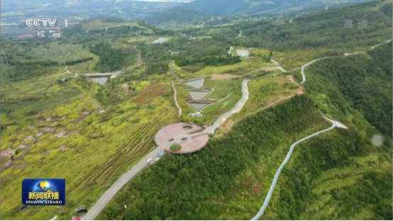 迎橄欖豐收 助鄉村振興 四川旅投聚峰谷油橄欖產業帶動金堂公園城市綠色低碳發展