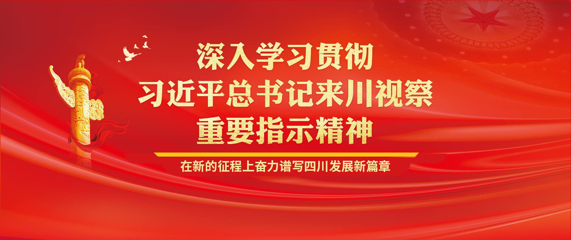深入學習貫徹習近平總書記來川視察重要指示精神