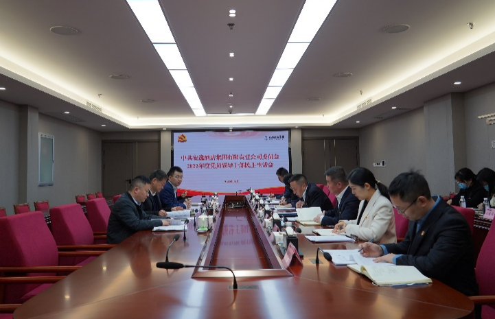 旅投集團黨委書記、董事長任丁出席安逸酒店集團2022年度黨員領導干部民主生活會
